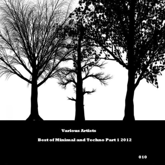 Best of Minimal and Techno, Pt. 1 2012