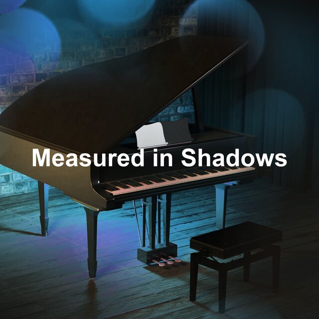 Measured in Shadows