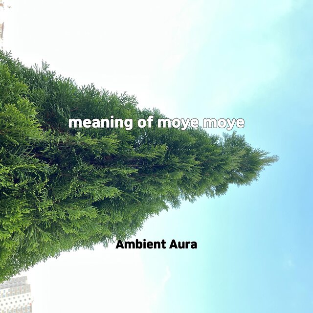 meaning of moye moye