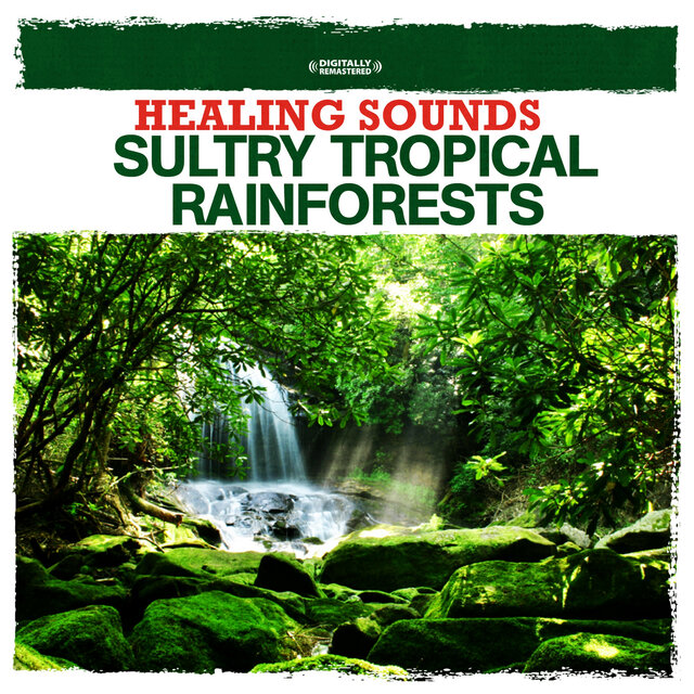 Cover art for album Healing Sounds - Sultry Tropical Rainforests by Nature Sounds