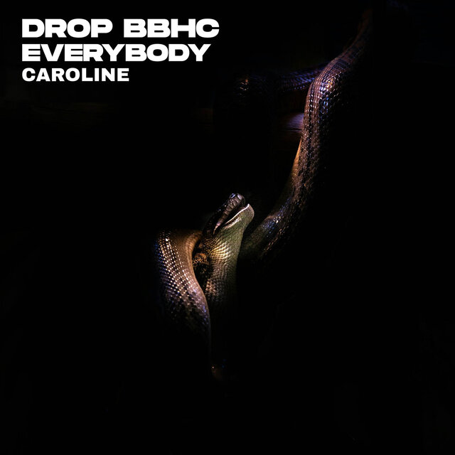 DROP BBHC EVERYBODY