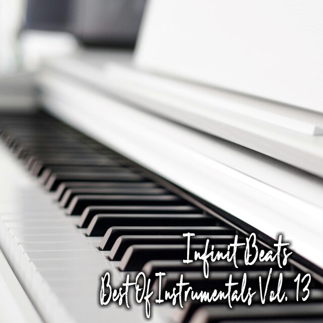 Best Of Instrumentals, Vol. 13