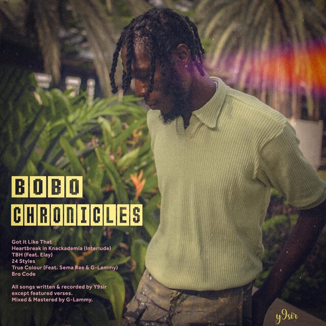 Bobo Chronicles