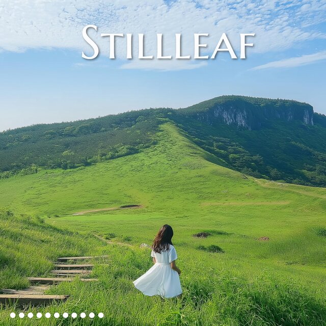 Stillleaf