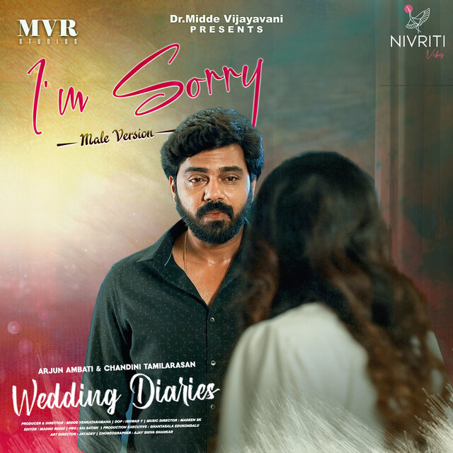 I'm Sorry (Male Version)