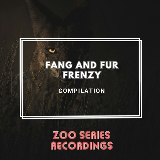 Fang and Fur Frenzy