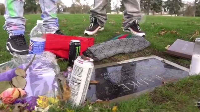 Long live ricci 