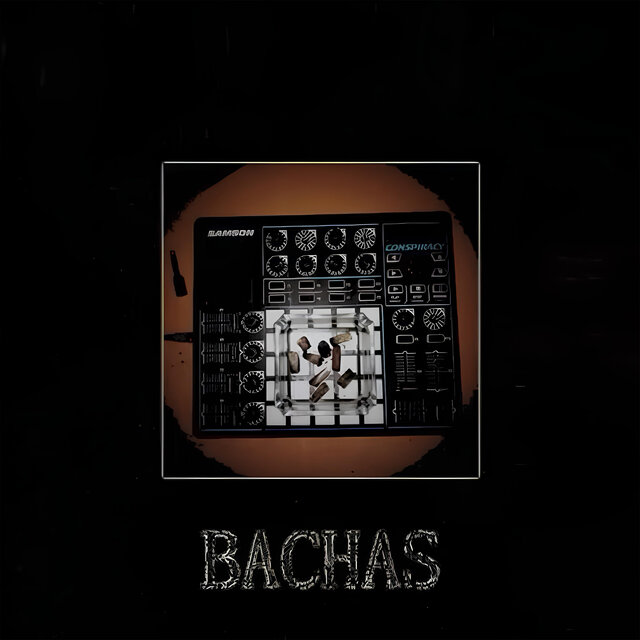 Bachas
