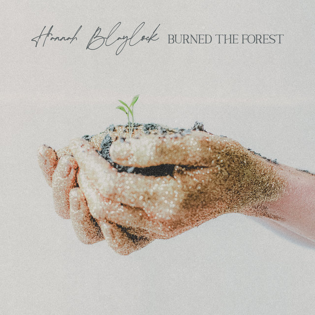 Burned the Forest