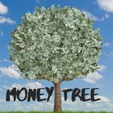 MONEY TREE