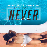 Say You´ll Never (Alex Guerrero Remix)