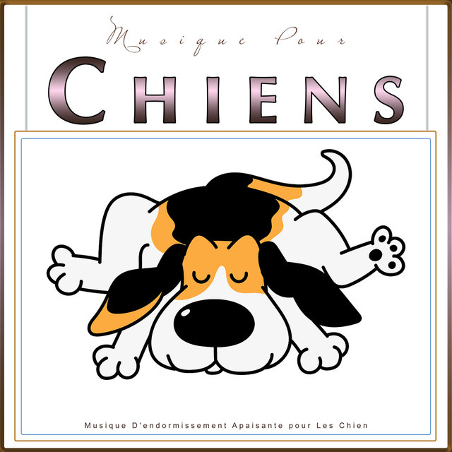 Musique Pour Chiens : Musique D'endormissement Apaisante pour Les Chiens