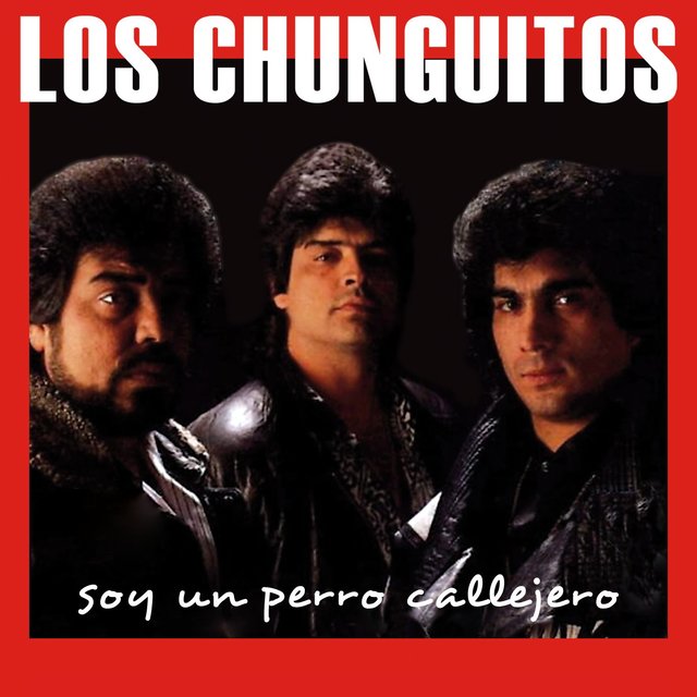 Soy Un Perro Callejero