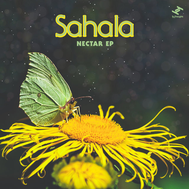 Sahala on TIDAL