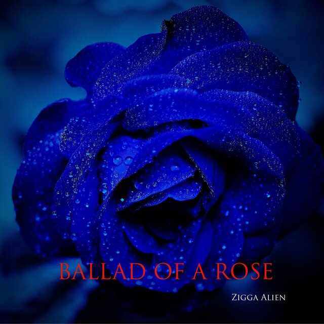 BALLAD OF A ROSE