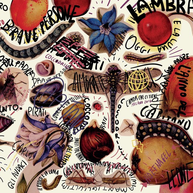 Coccodrilli