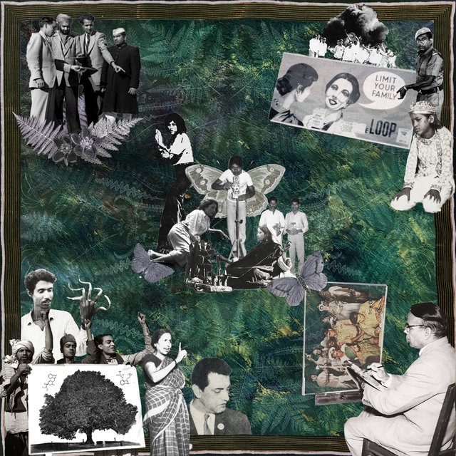 Tapestry
