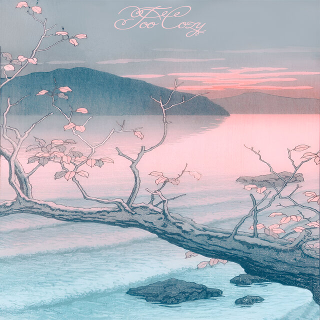 Too Cozy II