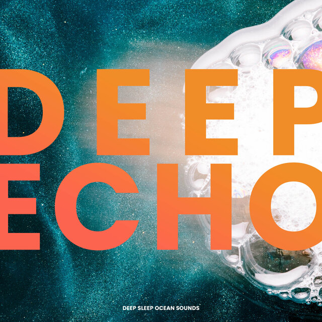 Deep Echo