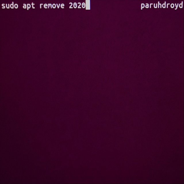 Sudo Apt Remove 2020 (EP)
