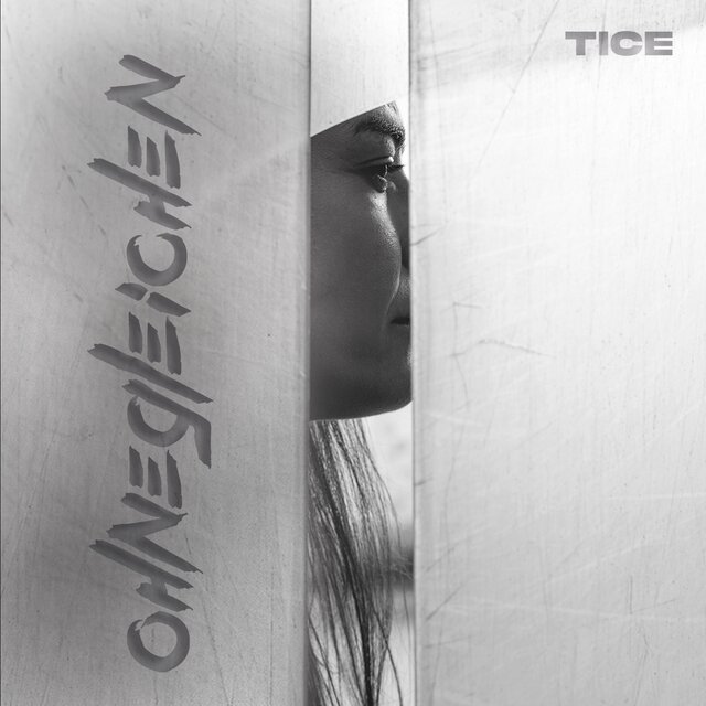 Ohnegleichen