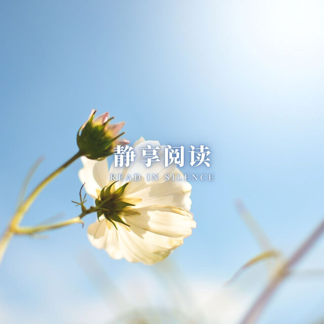 静享阅读