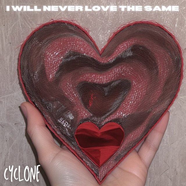 I WILL NEVER LOVE THE SAME