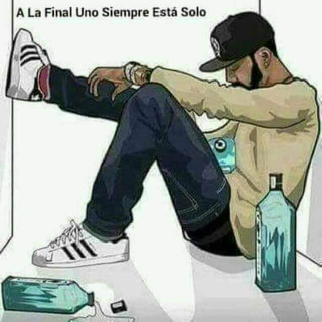 Lo siento por enamorme de ti