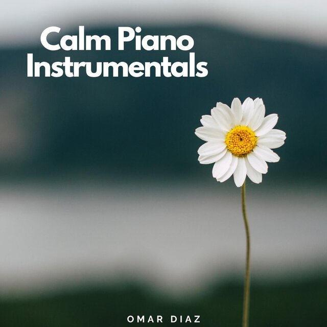 Calm Piano Instrumentals
