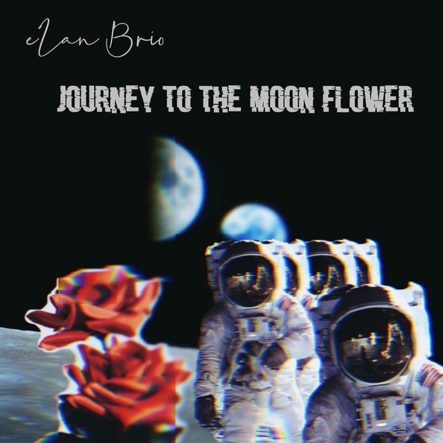 Journey to the Moon Flower