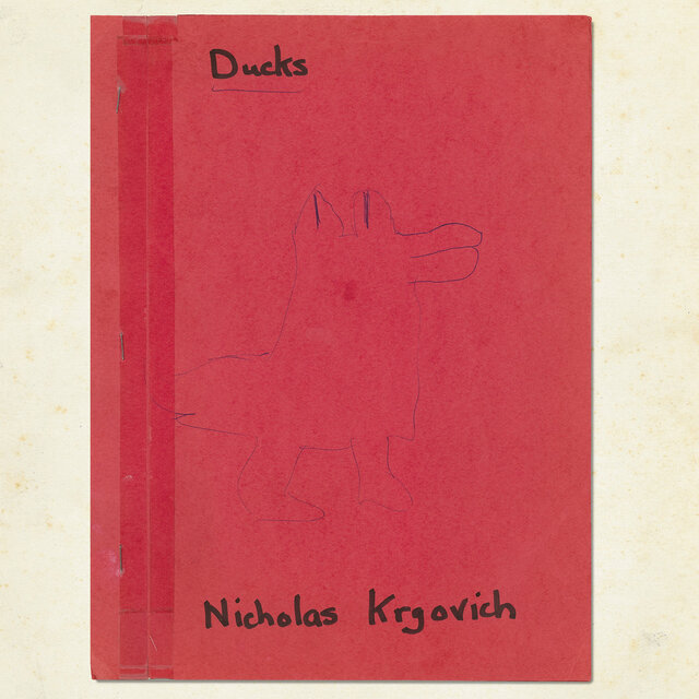 Ducks