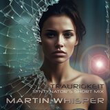 Traurigkeit (Synthynator's Short Mix)