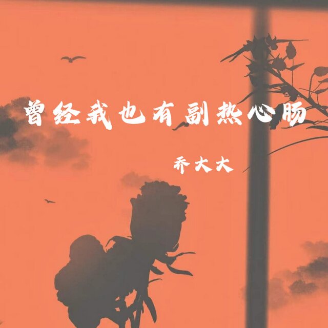 曾经我也有副热心肠