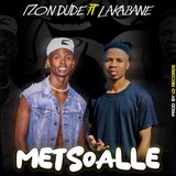 Metsoalle