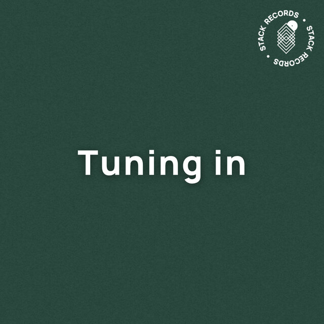 Cover art for album Tuning In by User