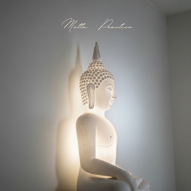 Metta Practice