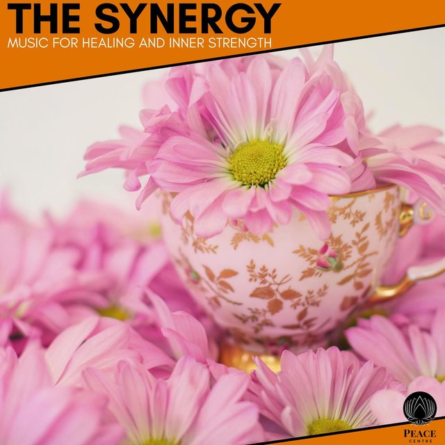 The Synergy - Music For Healing And Inner Strength