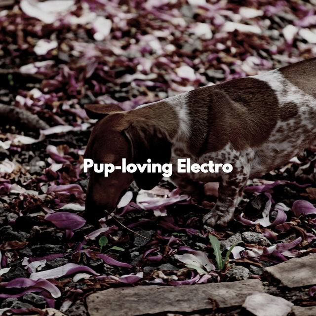 Pup-loving Electro
