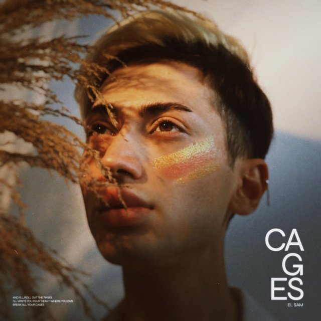 CAGES