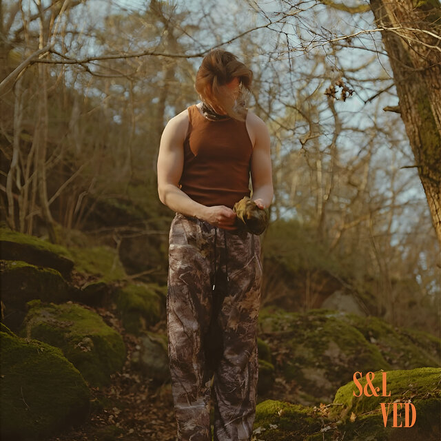 VED