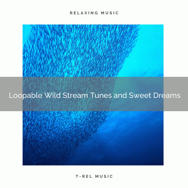 Loopable Wild Stream Tunes and Sweet Dreams
