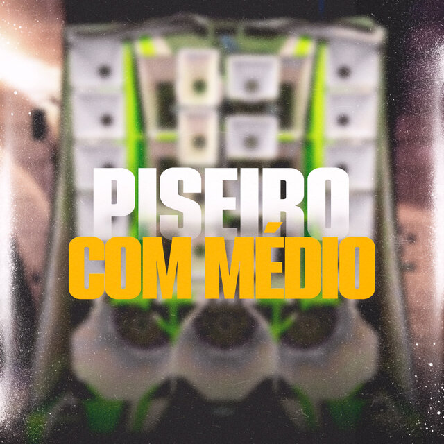 Piseiro Com Médio