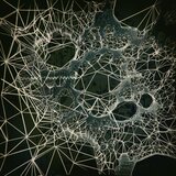 Synapse