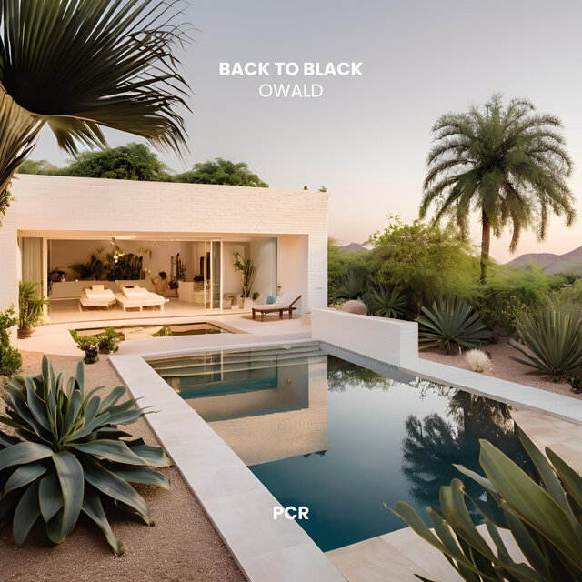 Back To Black
