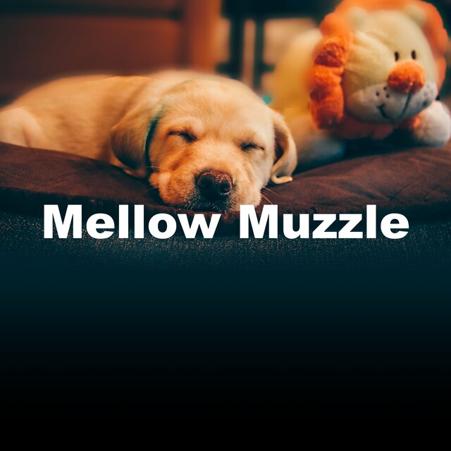 Mellow Muzzle