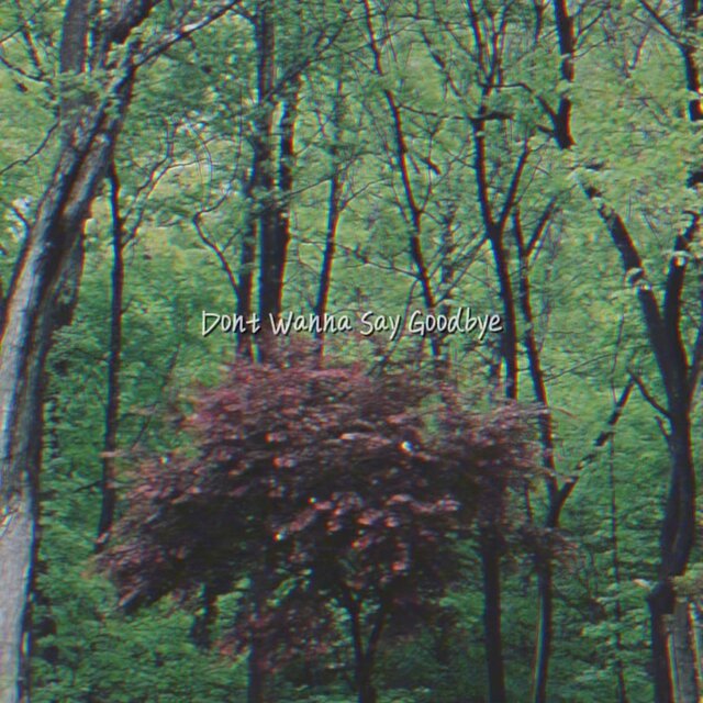 Dont Wanna Say Goodbye