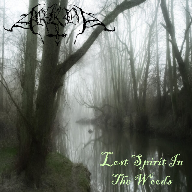 Lost Spirit In The Woods
