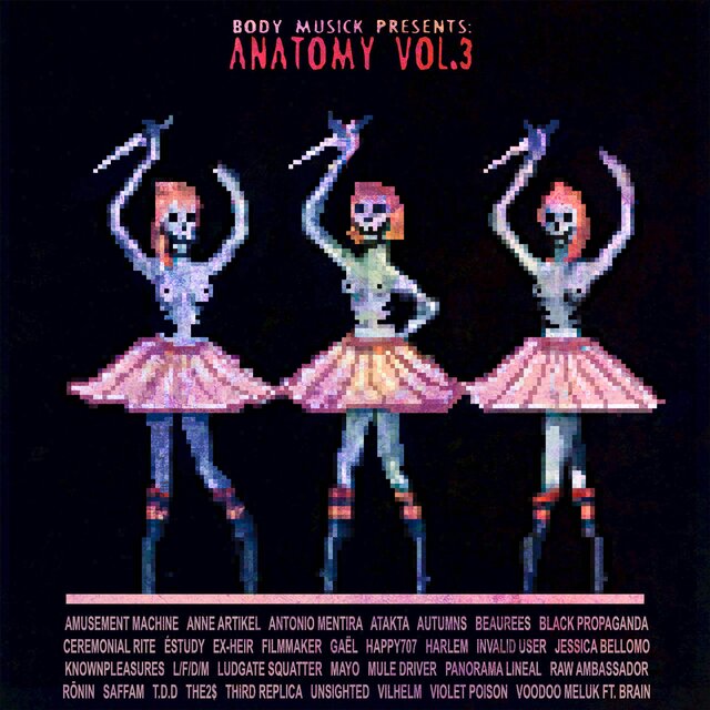 Anatomy Vol. 3