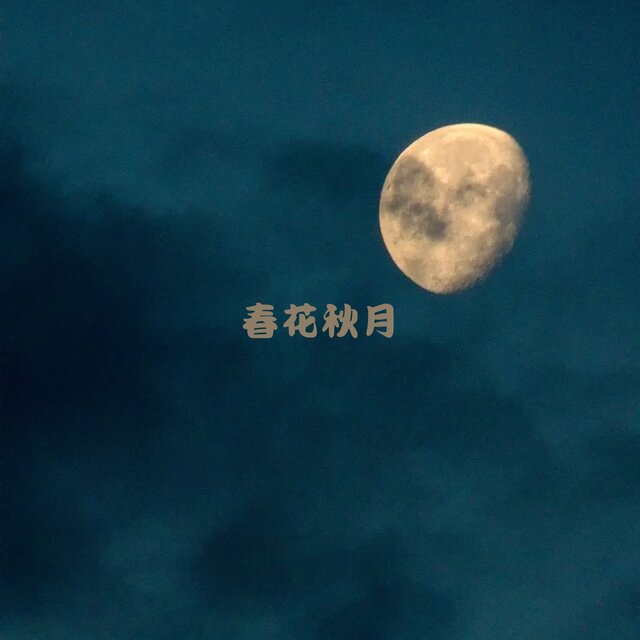 春花秋月