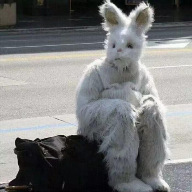 你